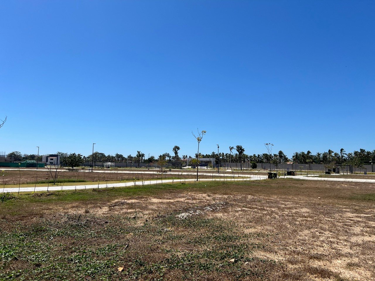 Lote 145 - Karakal